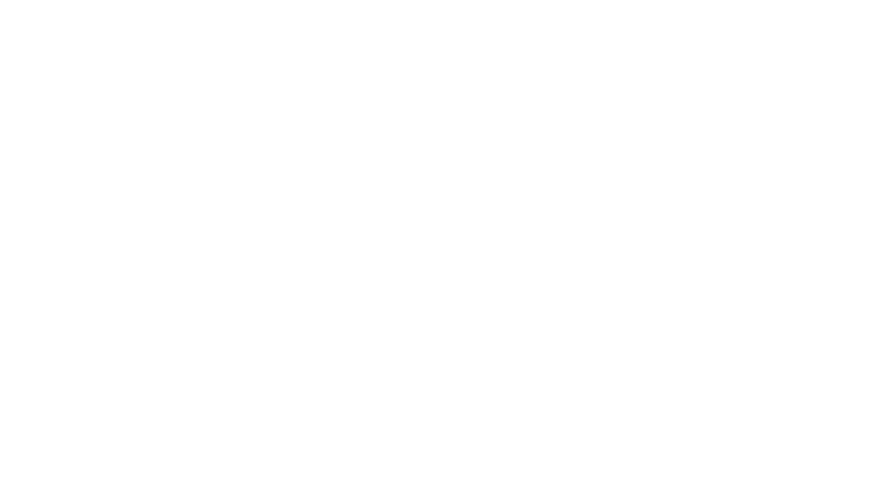 Charlotte Macarons